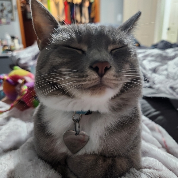 💥LIKE TO BE NOTIFIED💥 2025 SCHEDULE - Picture 4 of 7